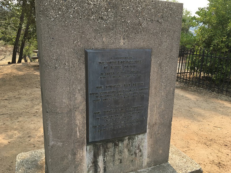 1043f.JPG