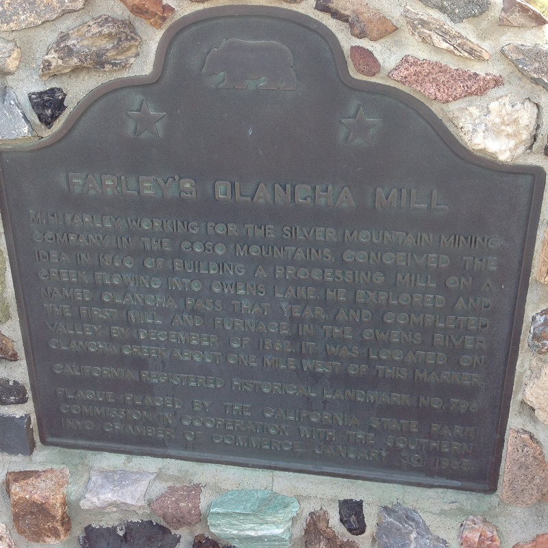 0796a.JPG