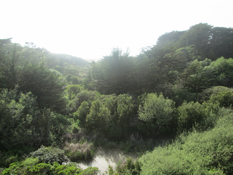 0375a.JPG