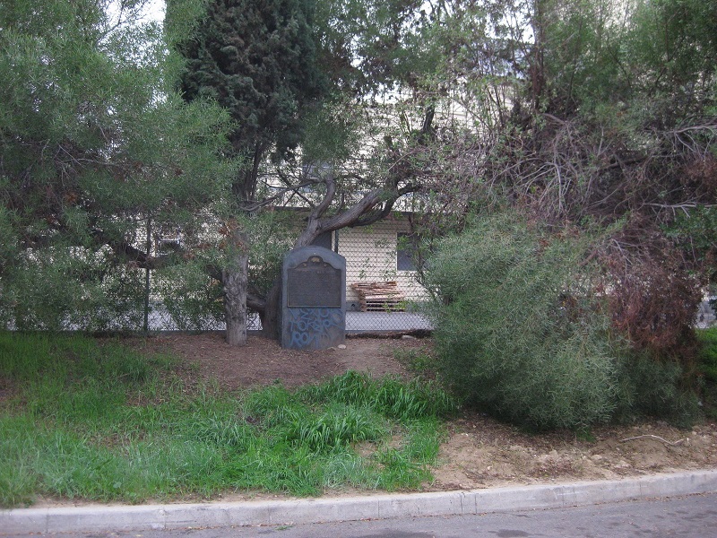 0822b.JPG