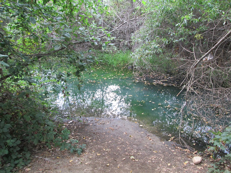 0530a.JPG