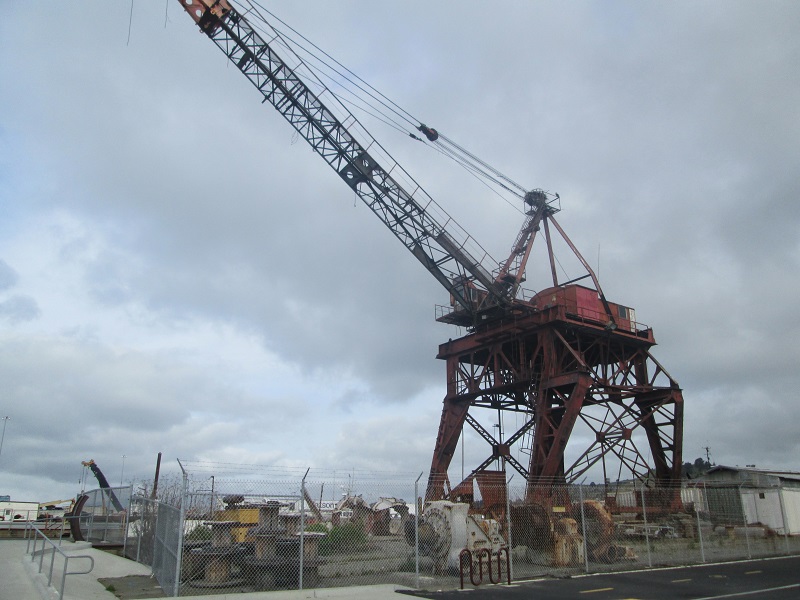 1032d.JPG