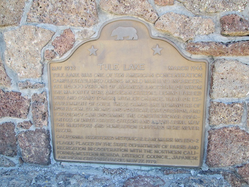0850-2c.JPG