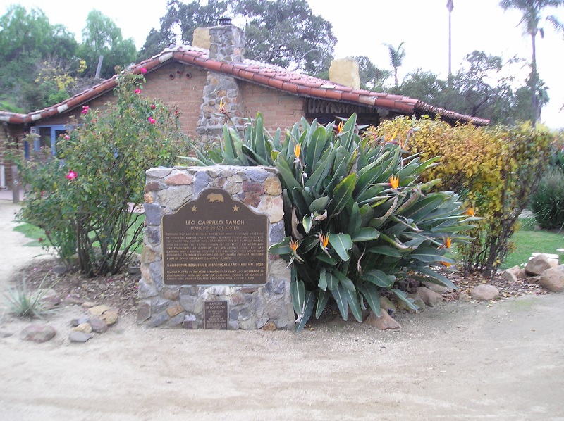 1020b.JPG