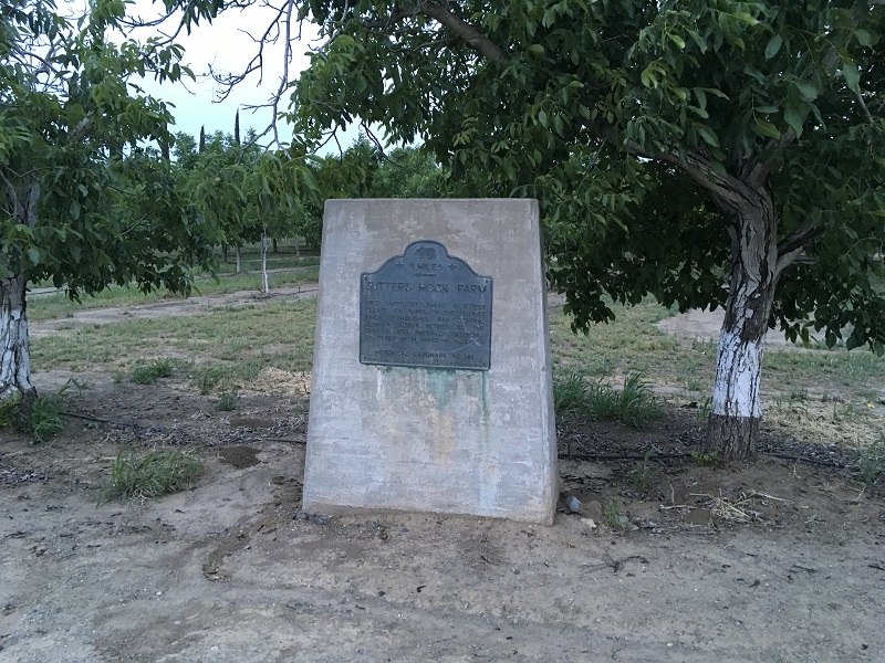 0346d.JPG