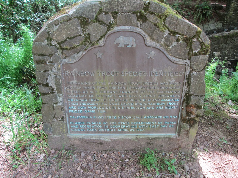 0970a.JPG
