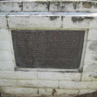 0593a.JPG