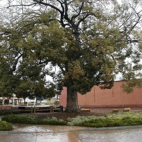 1038a.jpg