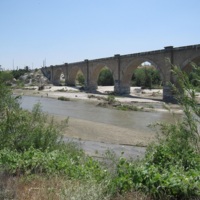 0787a.jpg