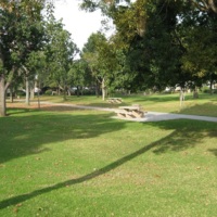 0646a.JPG