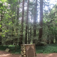 0962a.JPG