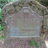 0970a.JPG
